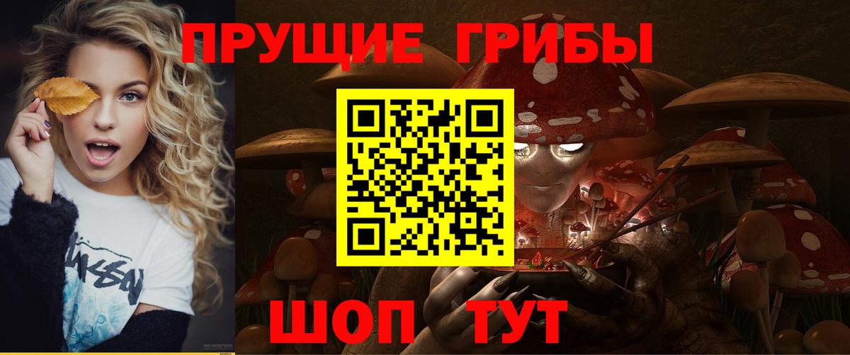 Мелеуз  Псилоцибиновые грибы прущие грибы  Вход с VPN  Галлюциногенные грибы Psilocybine cubensis 